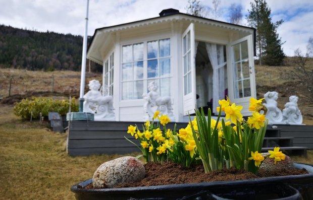 Scandinavisch Tuinhuis 10m²